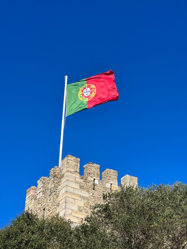 pexels-rich-howard-11565658