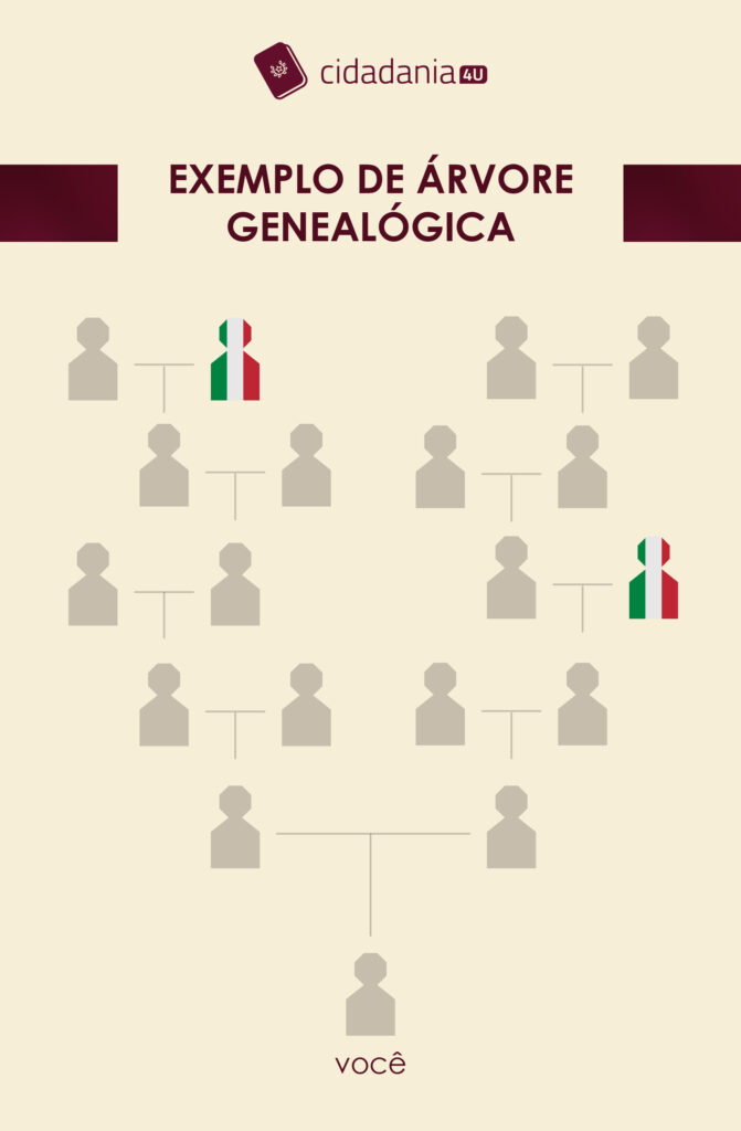 árvore genealógica da família