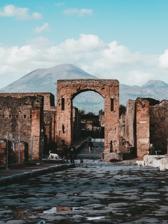 andy-holmes-h5cYy5OHDWM-unsplash