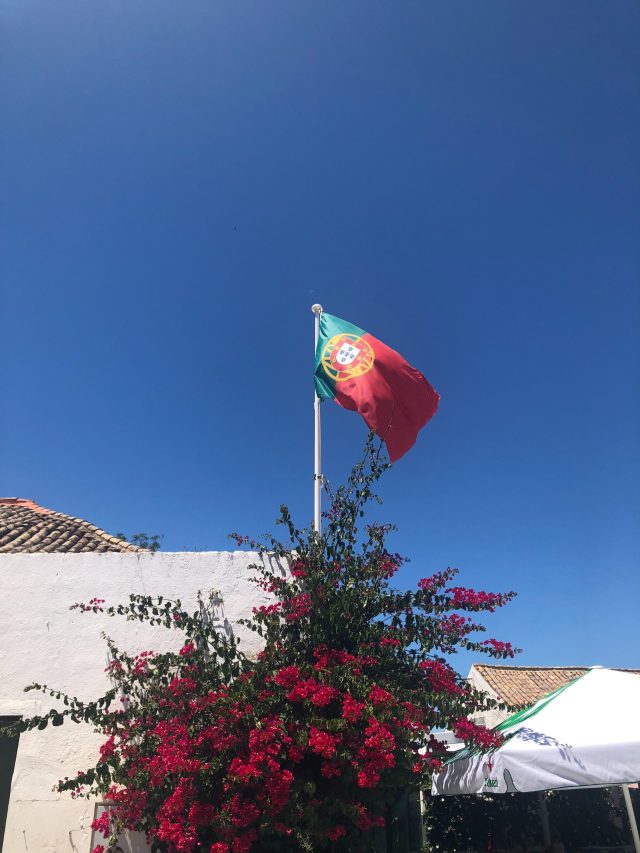 klaudia-piaskowska-SmIykD-rlxo-unsplash