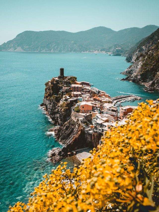 pexels-josh-hild-2422259 (1)