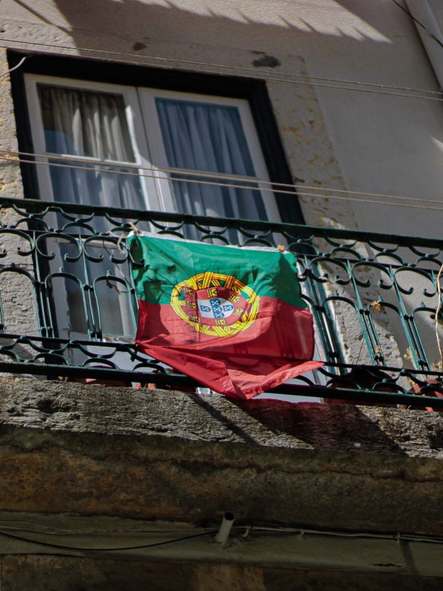 joao-reguengos-rvgDEMwJ9Q0-unsplash