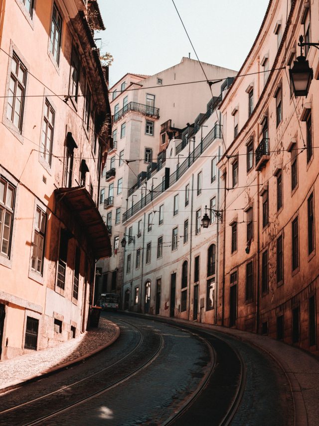 pexels-diogo-brandao-3146209 (1)