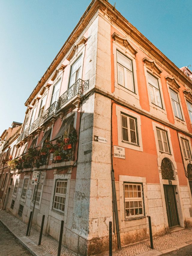 pexels-mel-legarda-12221812