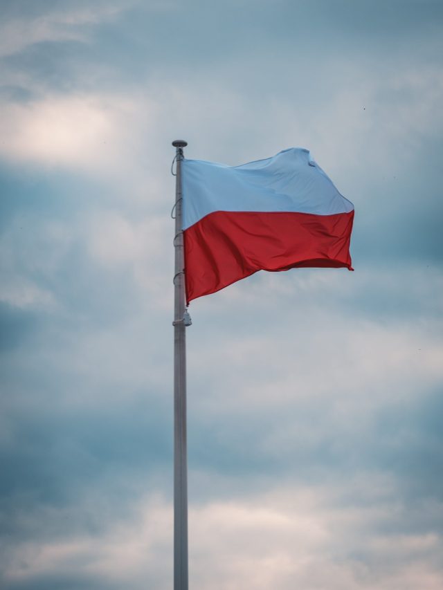 nemesia-production-IJ1gyk5btEM-unsplash