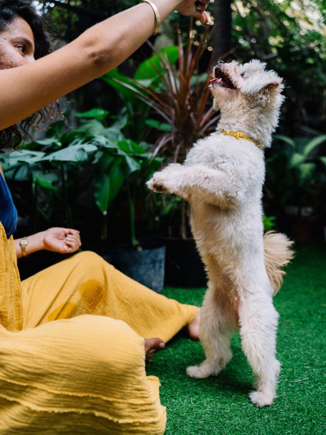 pexels-anna-tarazevich-6268729