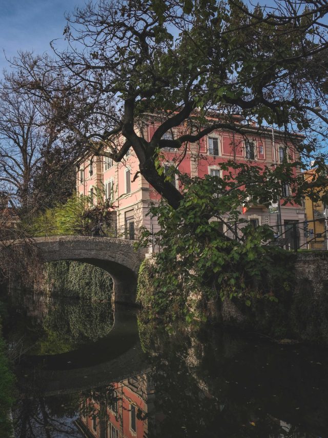 pexels-francesco-ungaro-6346684