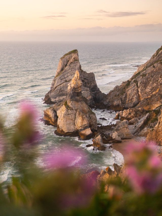 pexels-gabor-boszormenyi-10964535