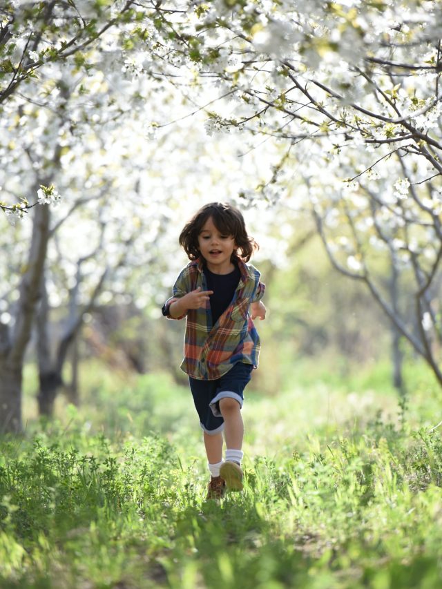 pexels-jonas-mohamadi-1416736 (1)