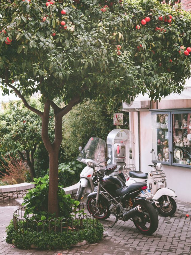 pexels-peter-fazekas-876611