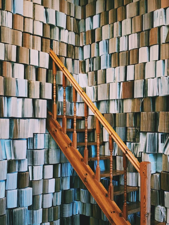 pexels-ralfs-eglitis-2762083