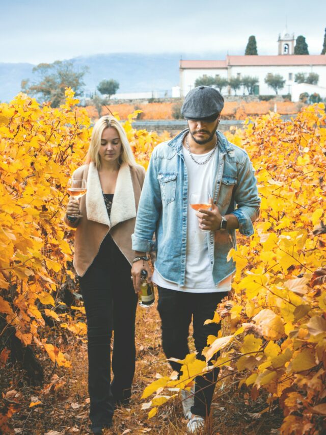 marcio-pego-J0Qz_4HwtI0-unsplash